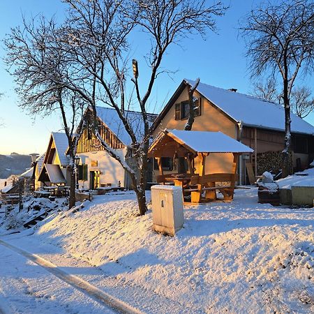 Villa Macskajaj Vendeghaz Mecseknádasd Exterior foto