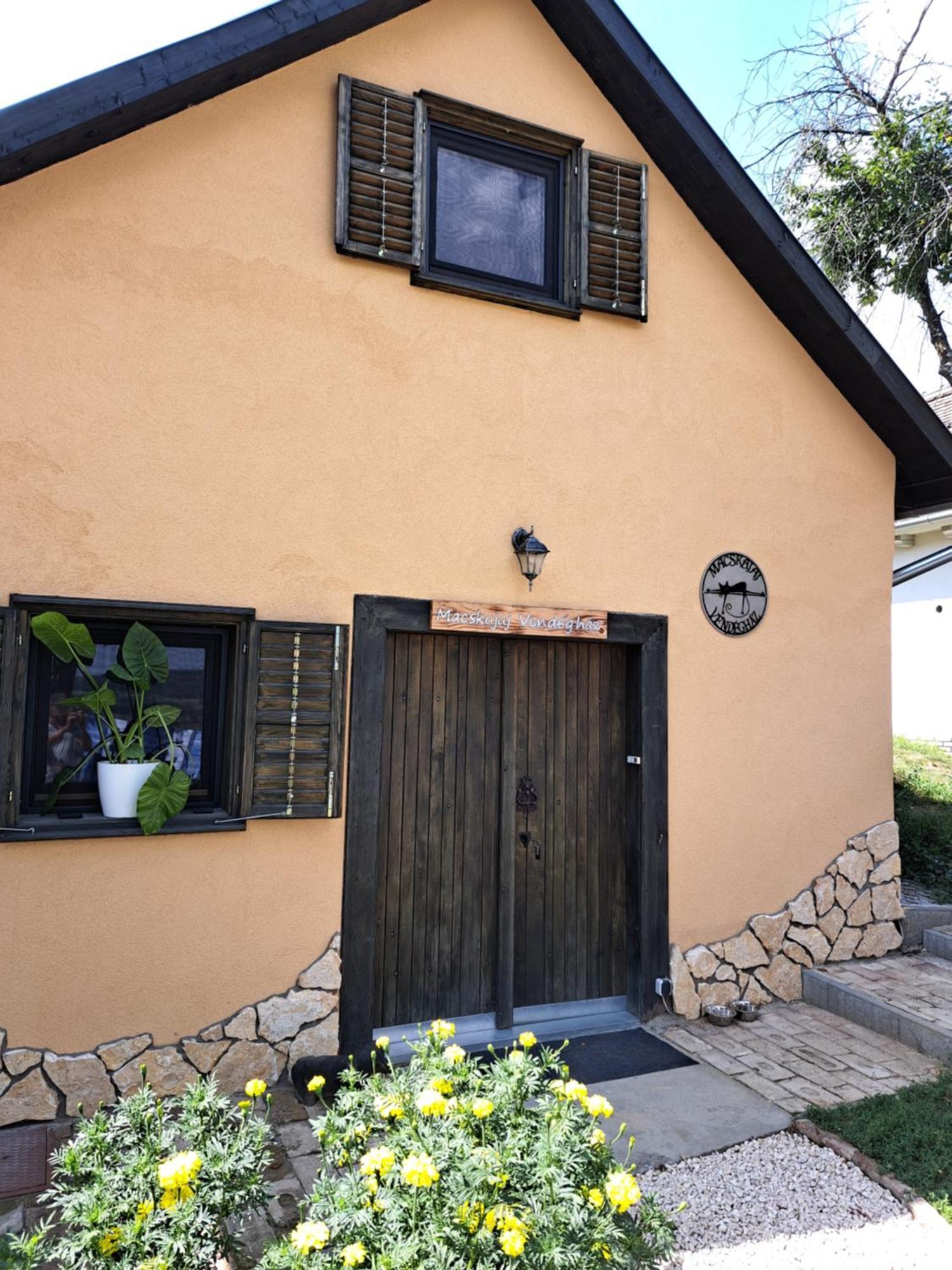Villa Macskajaj Vendeghaz Mecseknádasd Exterior foto